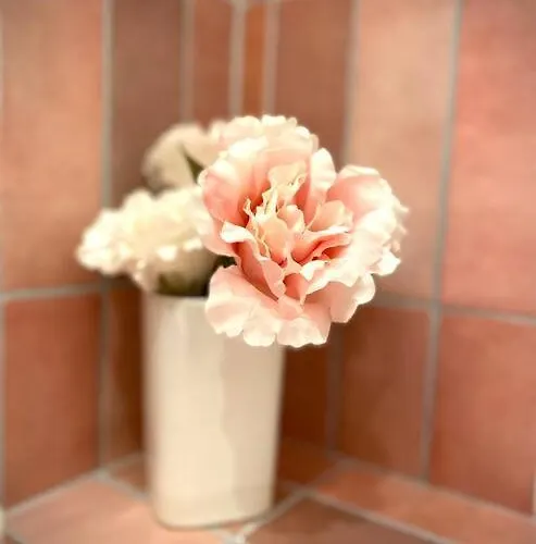 Altstadt Pur!an Der Wunderschoenen Katharinenkirche * Oppenheim